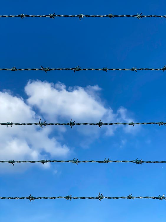 Free Photo of Barbed Wires Stock Photo