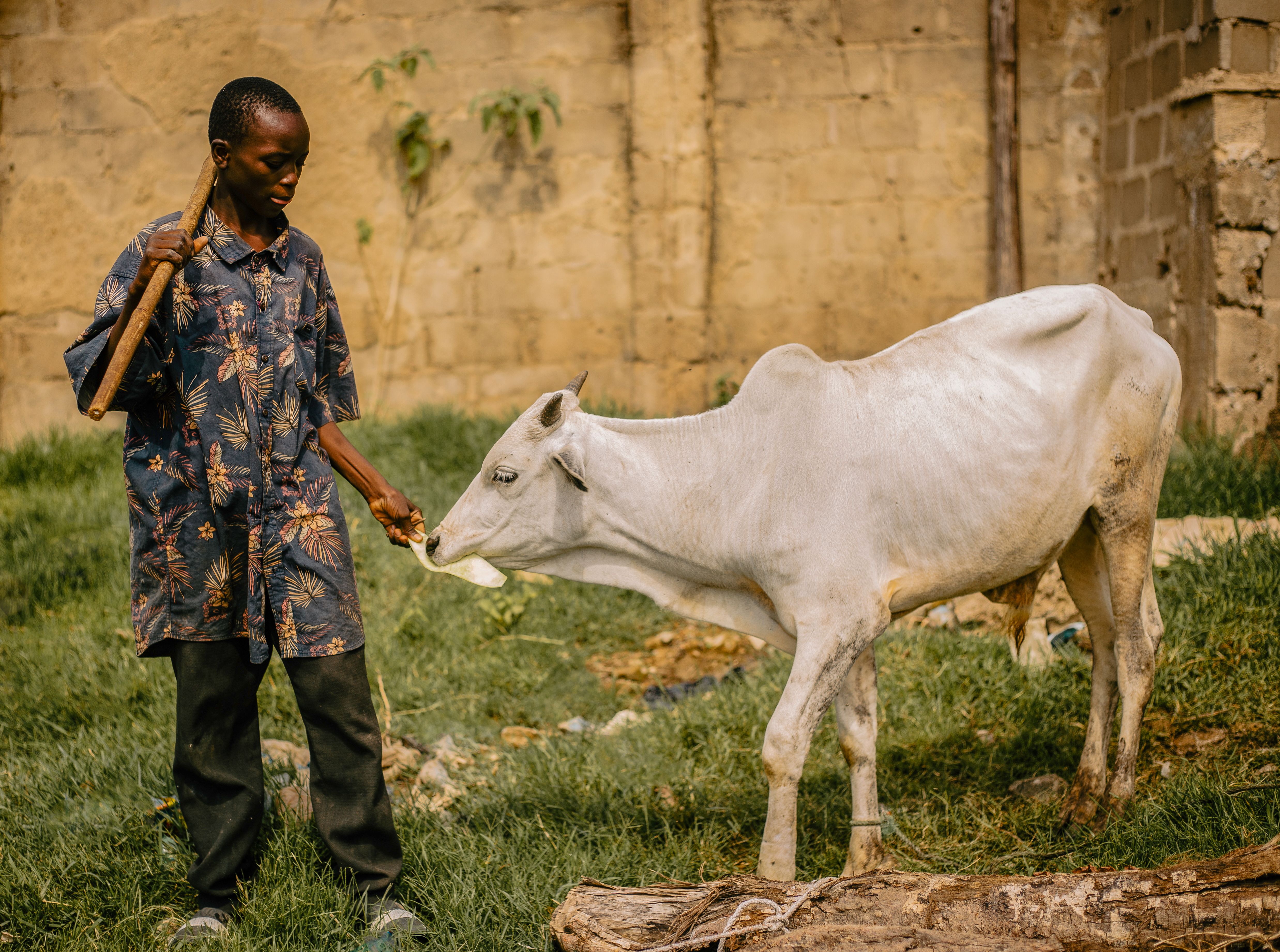 Gentle nudges for increased animal welfare