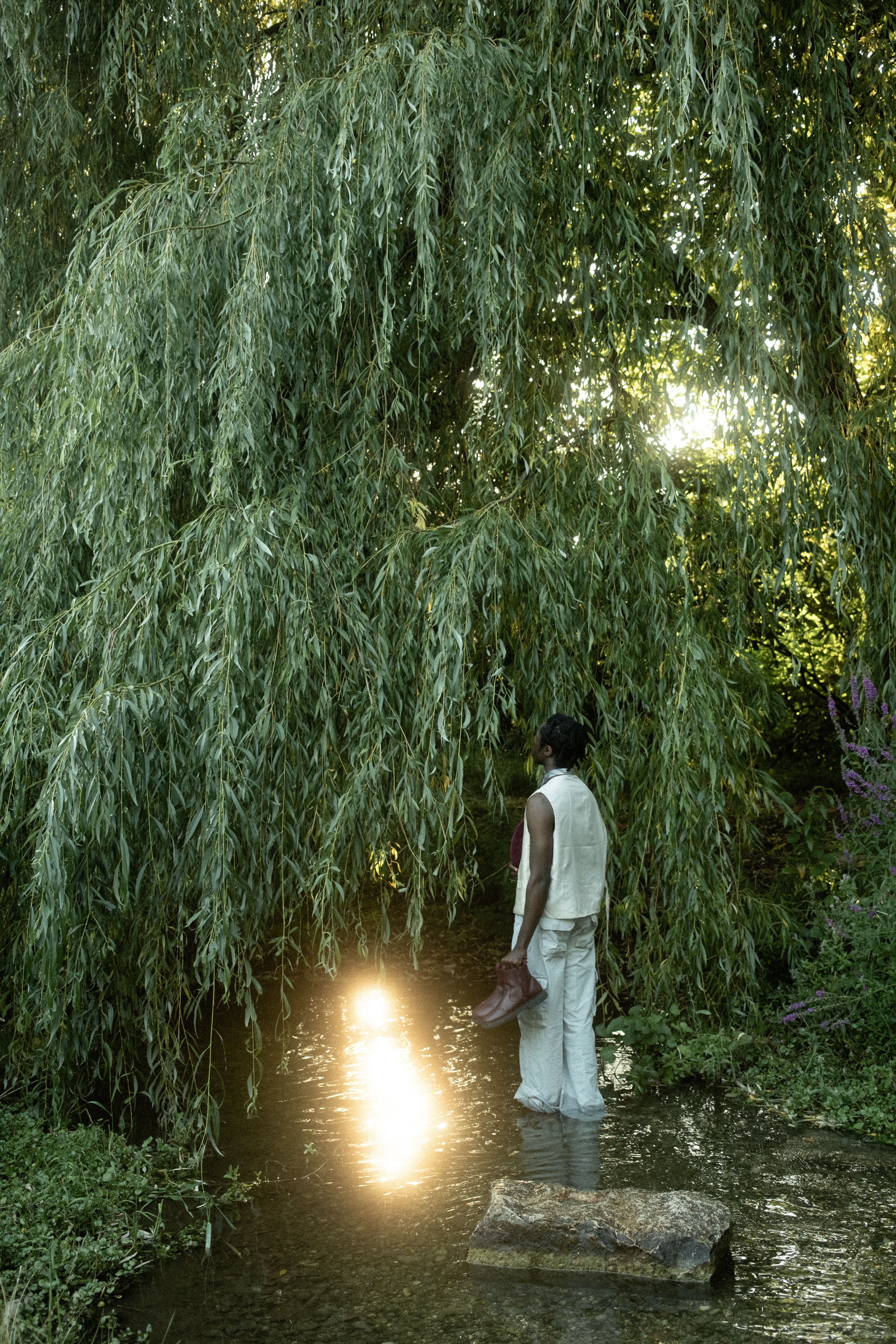 Serene Reflection Under Willow Tree in Munich · Free Stock Photo