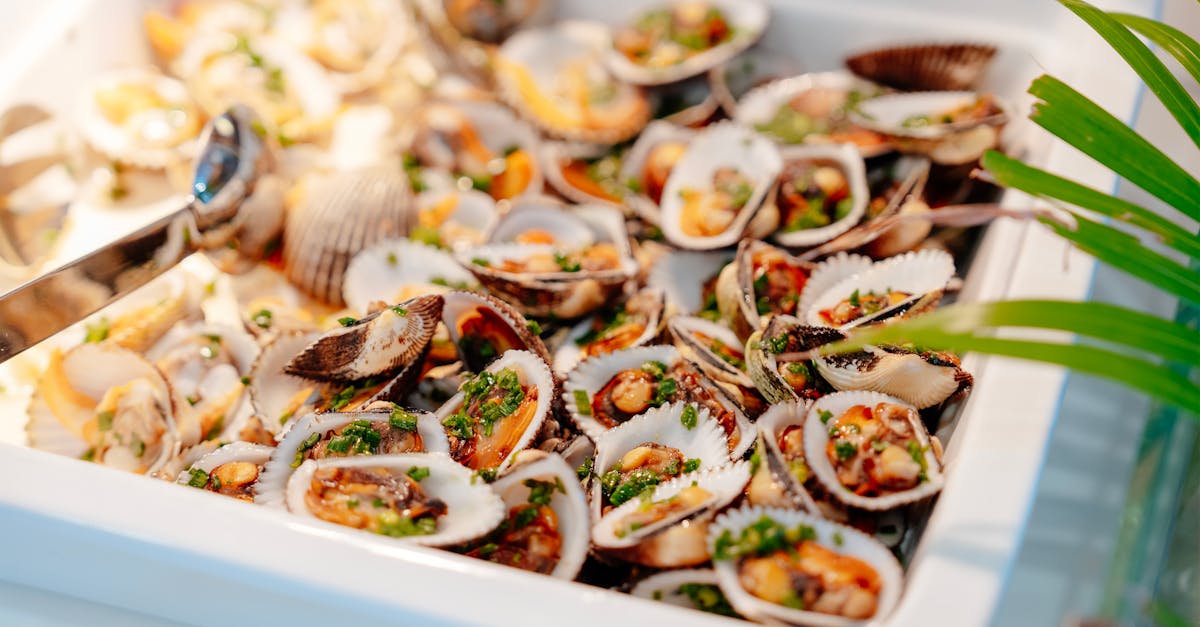 Prajituri cu scoici Rhode Island