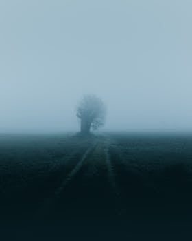 雾中一棵孤树，营造出怪异而喜怒无常的氛围