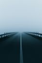浓雾中，一座公路桥若隐若现，营造出神秘的氛围