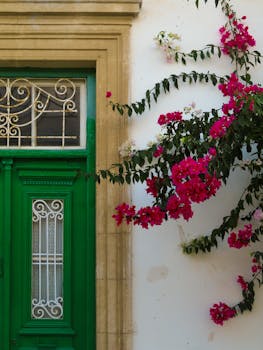 A picturesque green door adorned with vibrant Bougainvillea flowers in Cyprus.