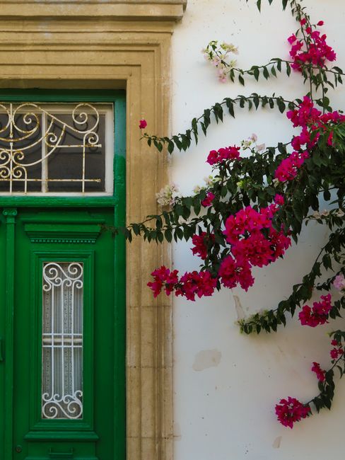 A picturesque green door adorned with vibrant Bougainvillea flowers in Cyprus.