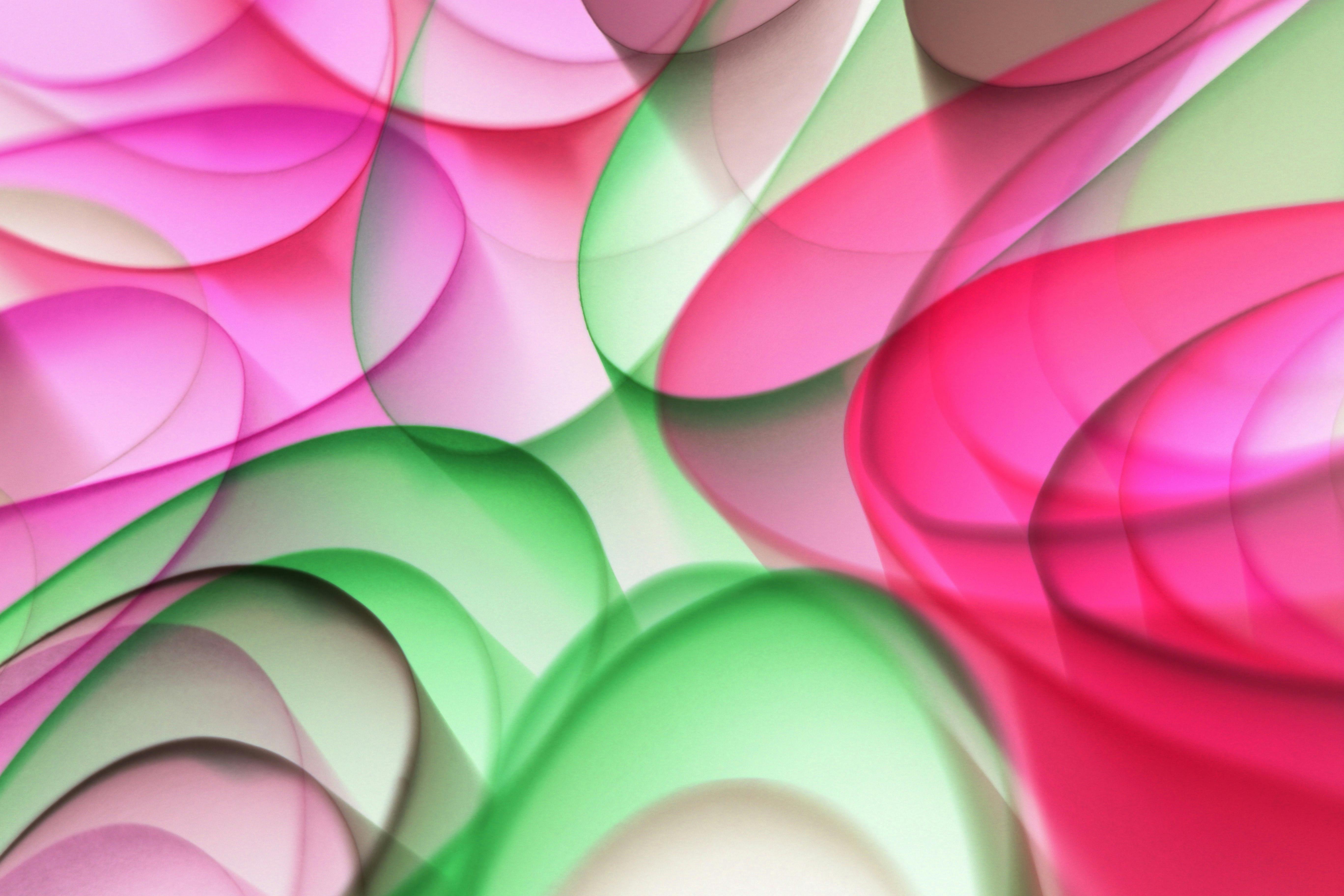 무료 겹치는, 관념적인, 녹색의 무료 스톡 사진