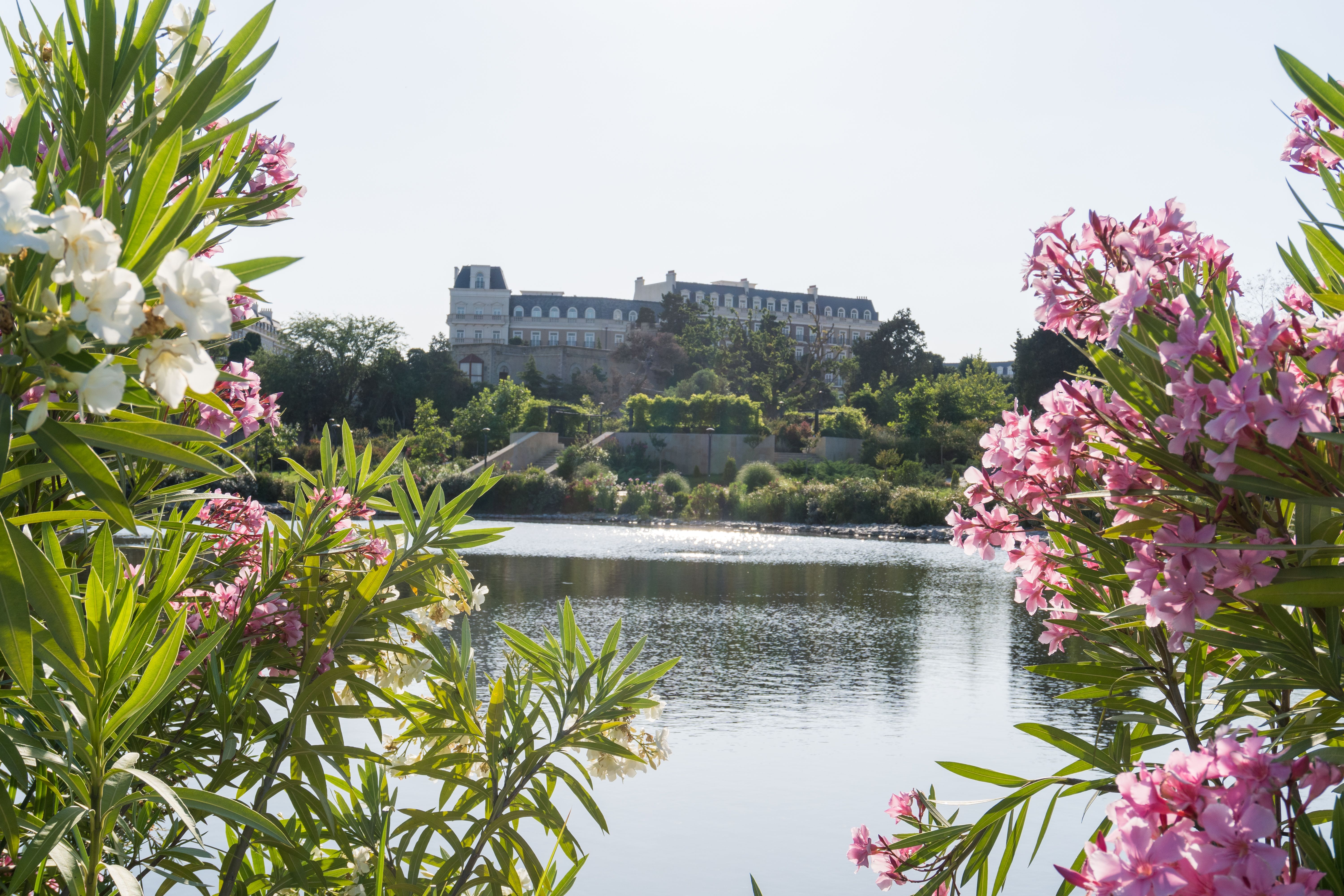 Hôtel Cheverny : Top 5 Meilleurs Prix 2026