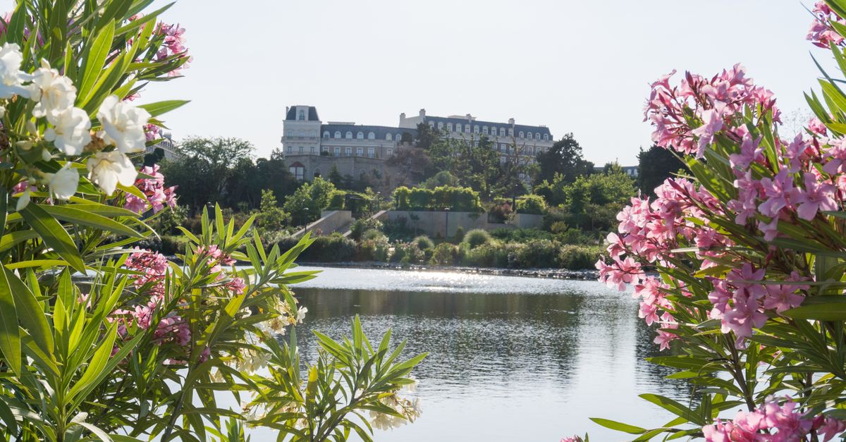 Hôtel Cheverny : Top 5 Meilleurs Prix 2026