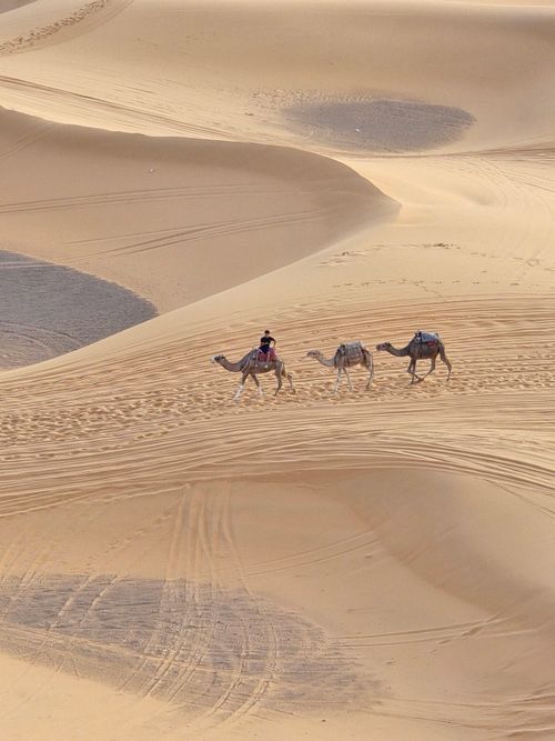 Camel riders crossing desert dunes — photo by Zak H on Pexels