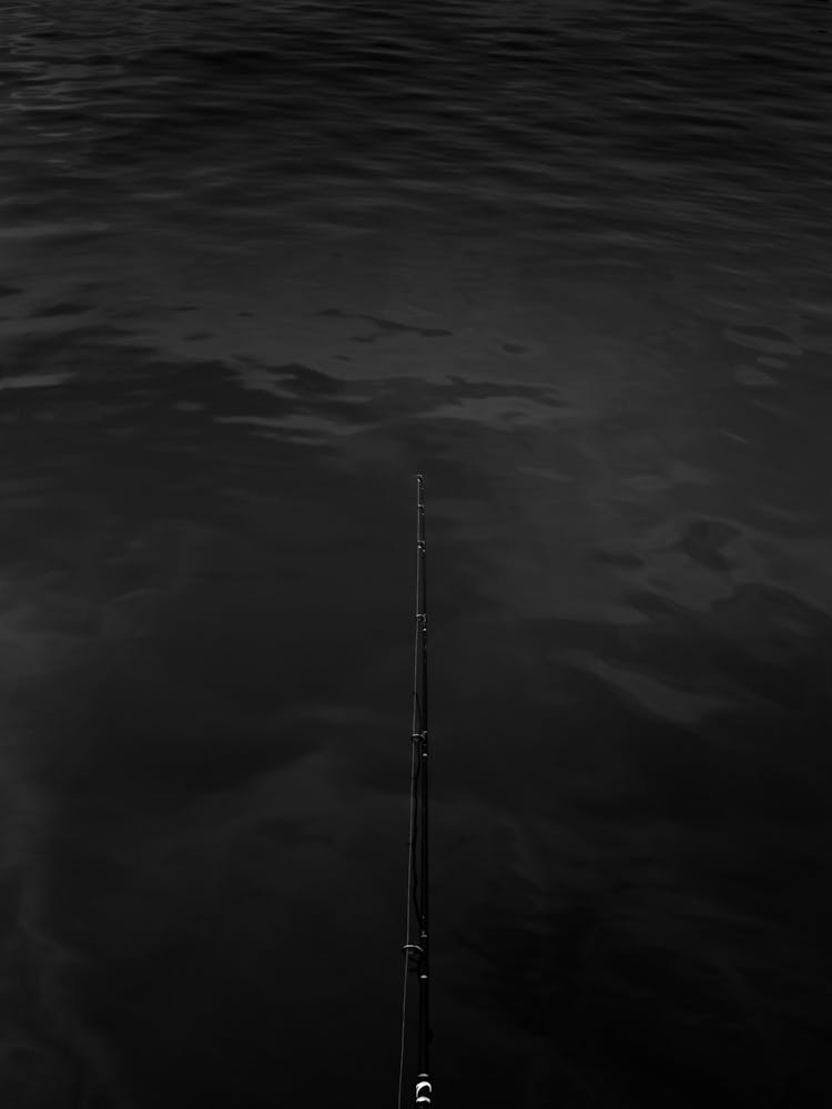 A Black Fishing Rod