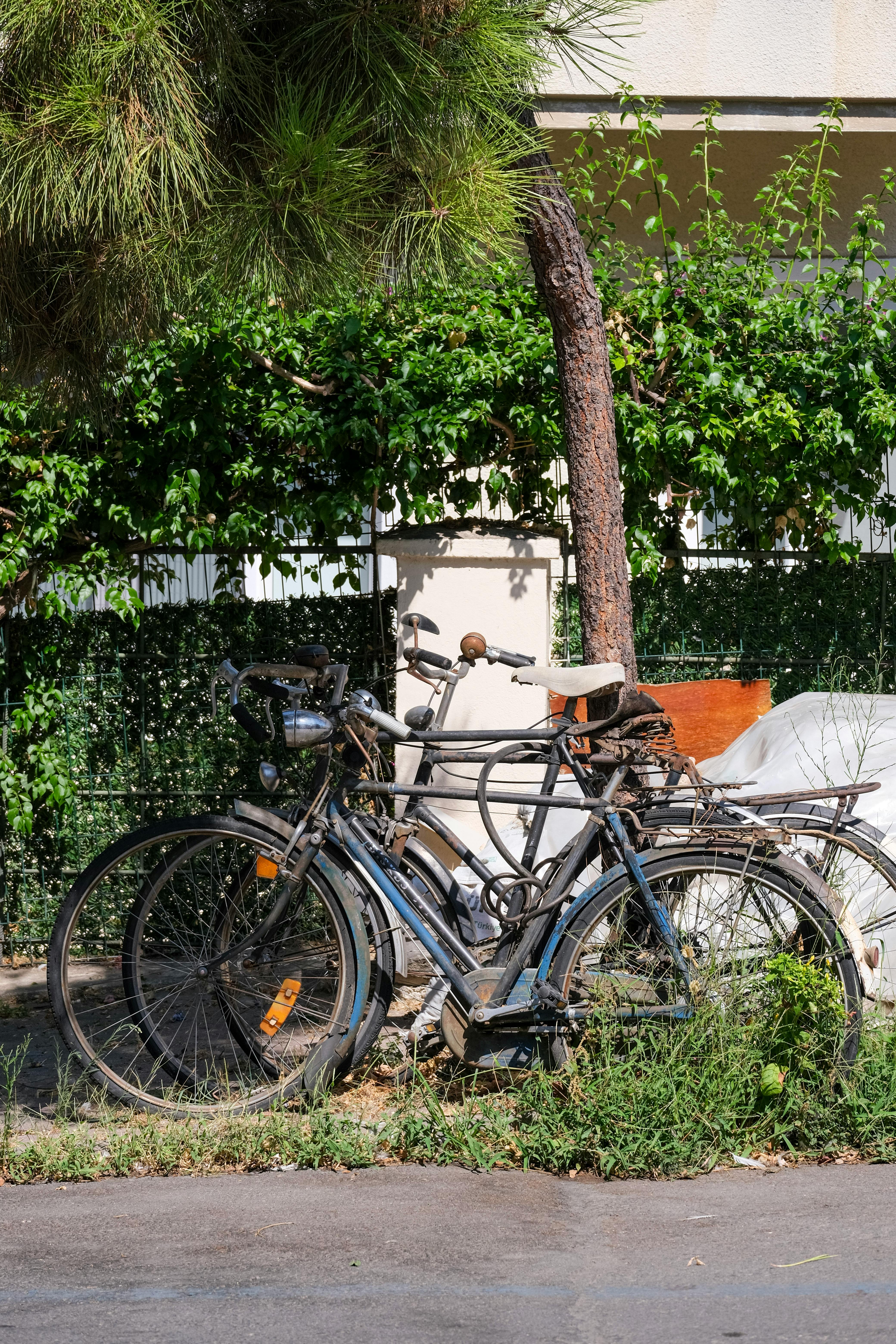 國際車友齊聚金門 自行車生態旅遊首發開騎