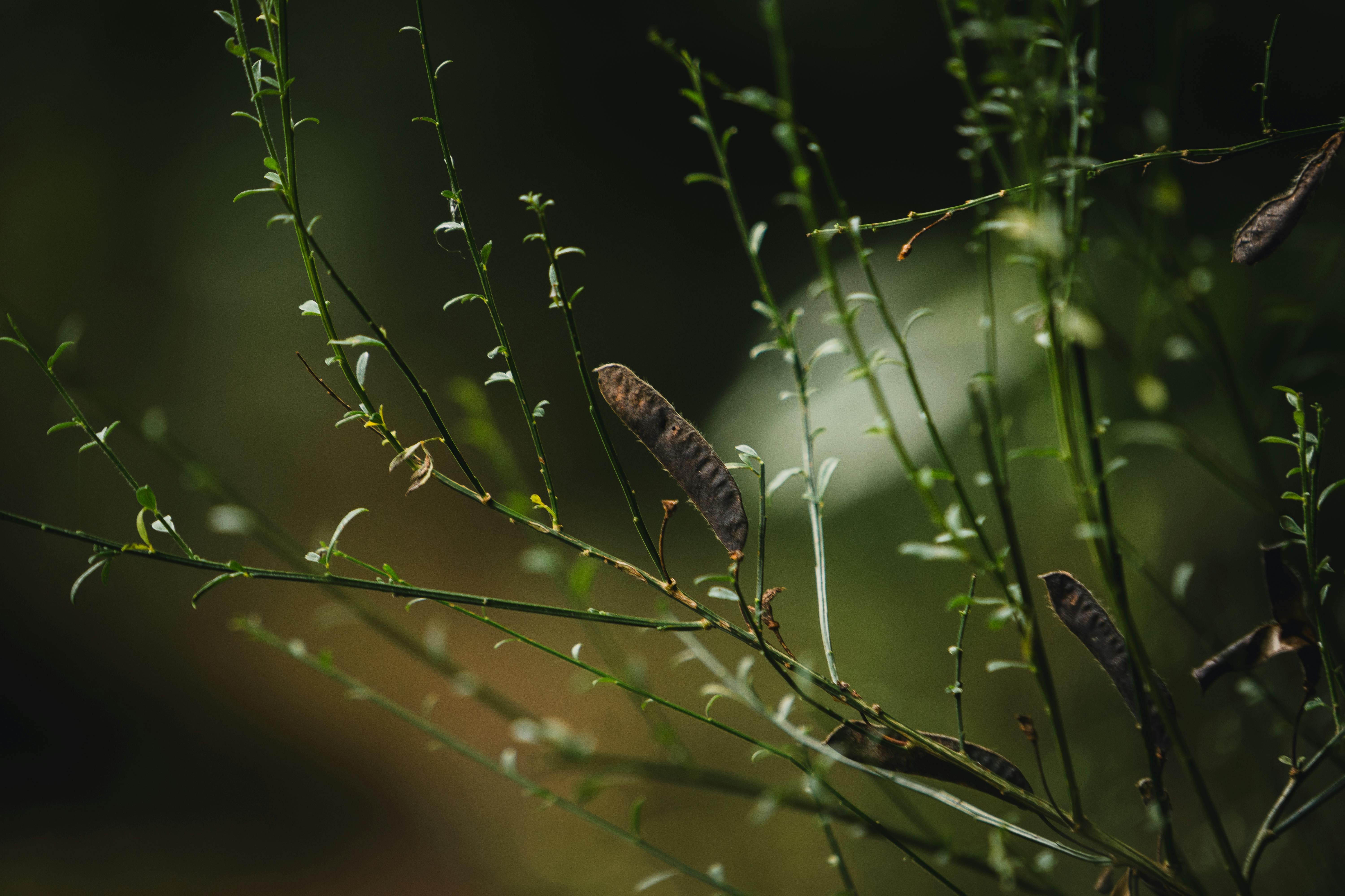 探訪自然之美：新竹森林系民宿推薦全面指南