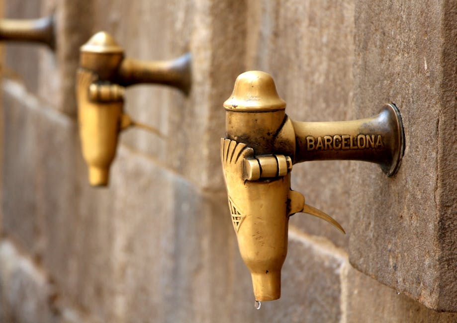 Brown Barcelona Water Faucet Selective Focus Photography
