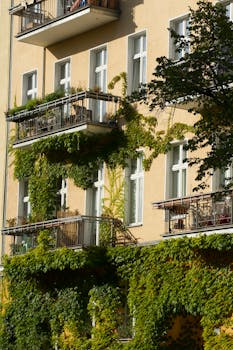 Charming Berlin apartments with lush ivy on balconies bask in sunlight, creating an inviting urban scene.
