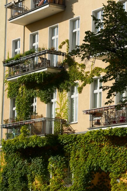 Charming Berlin apartments with lush ivy on balconies bask in sunlight, creating an inviting urban scene.