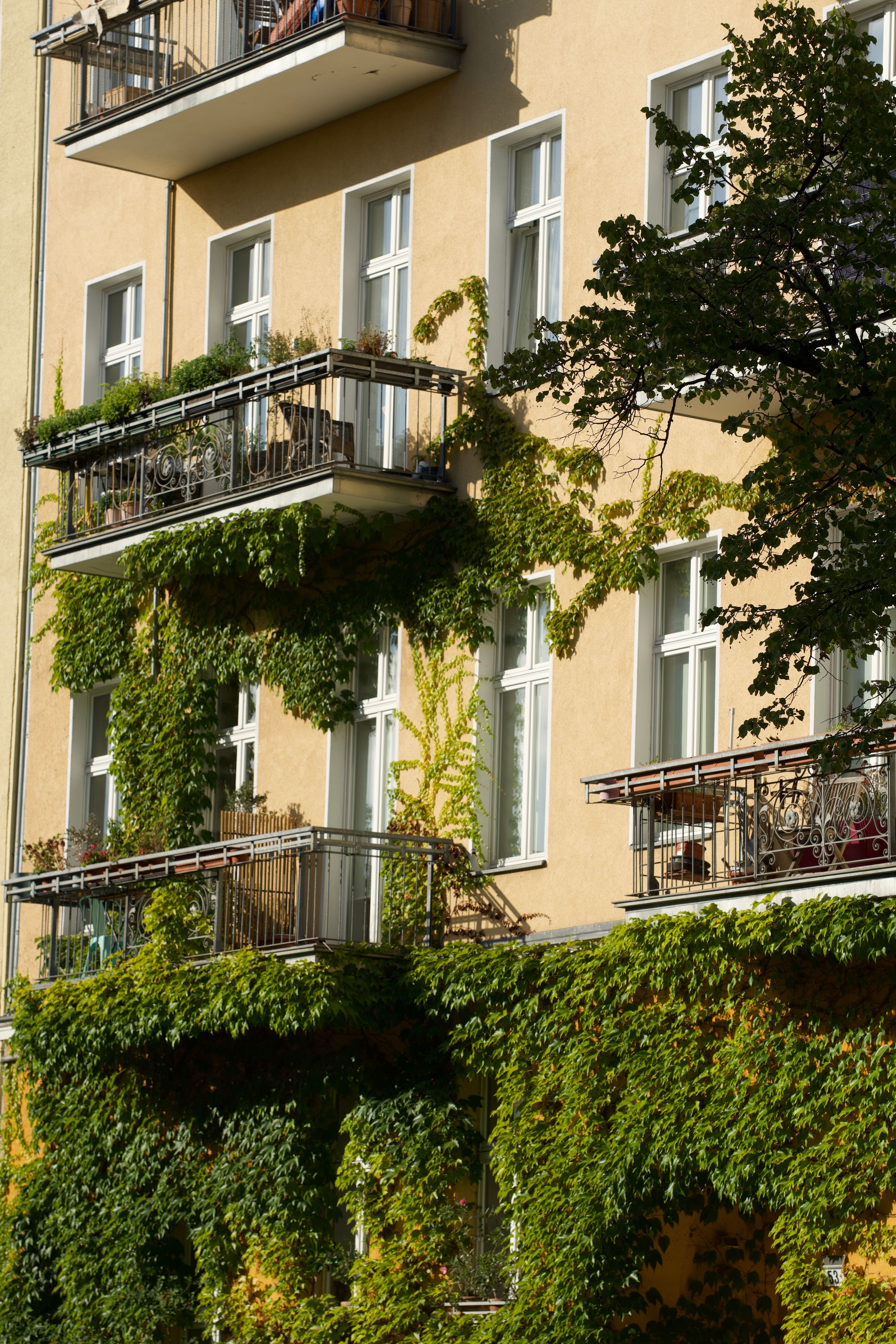 Free Charming Berlin apartments with lush ivy on balconies bask in sunlight, creating an inviting urban scene. Stock Photo