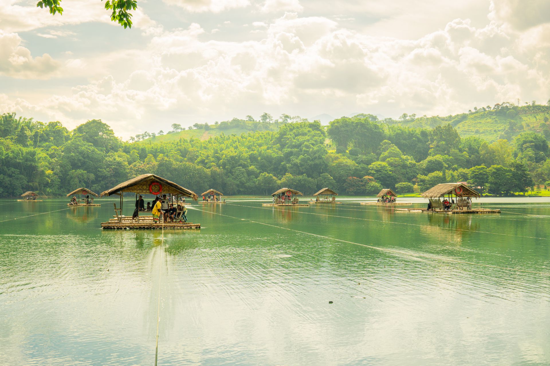 Charming scene of bamboo rafts floating on a serene lake surrounded by lush greenery under a bright summer sky.