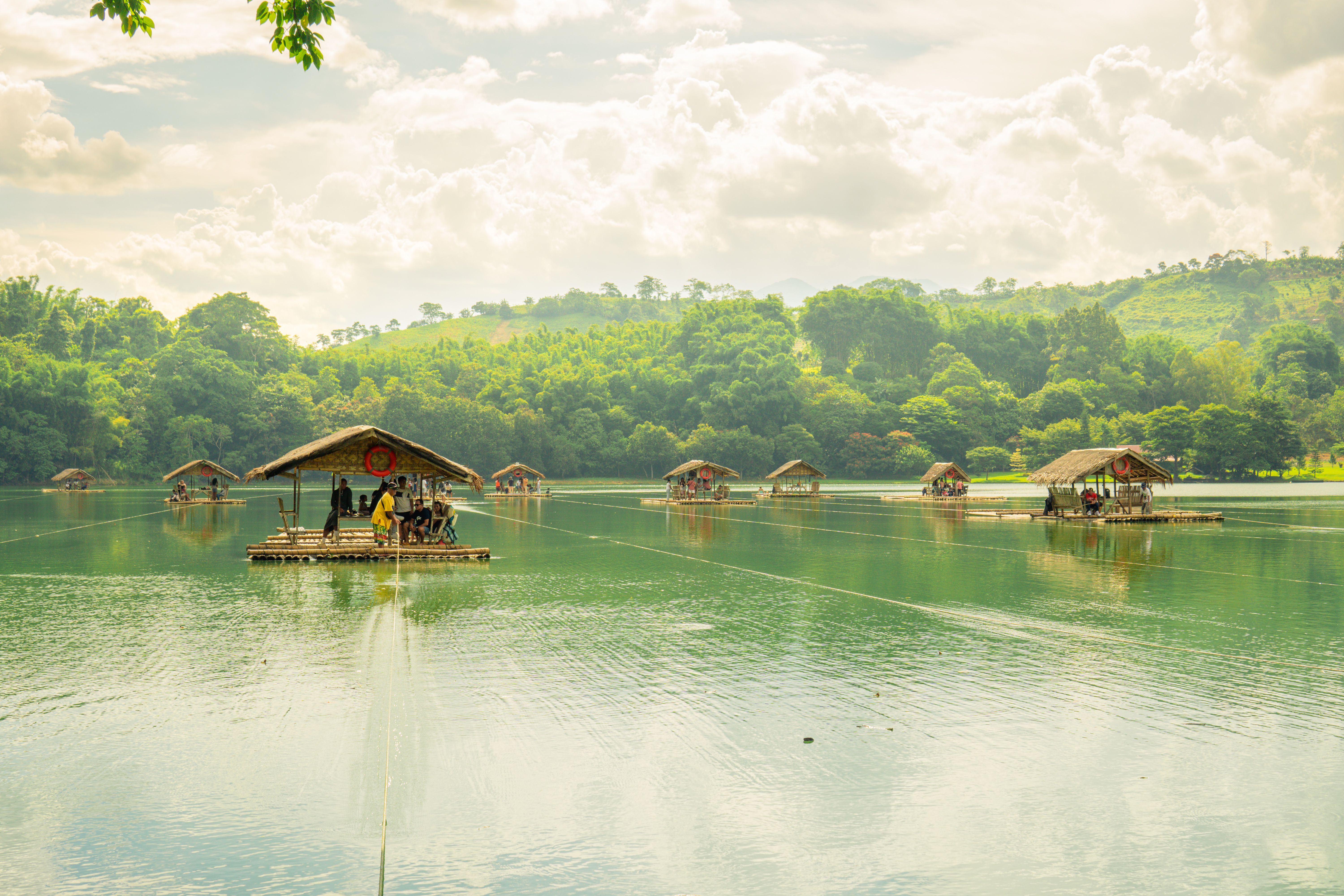 Floating Bamboo Rafts on Tranquil Lake in Summer