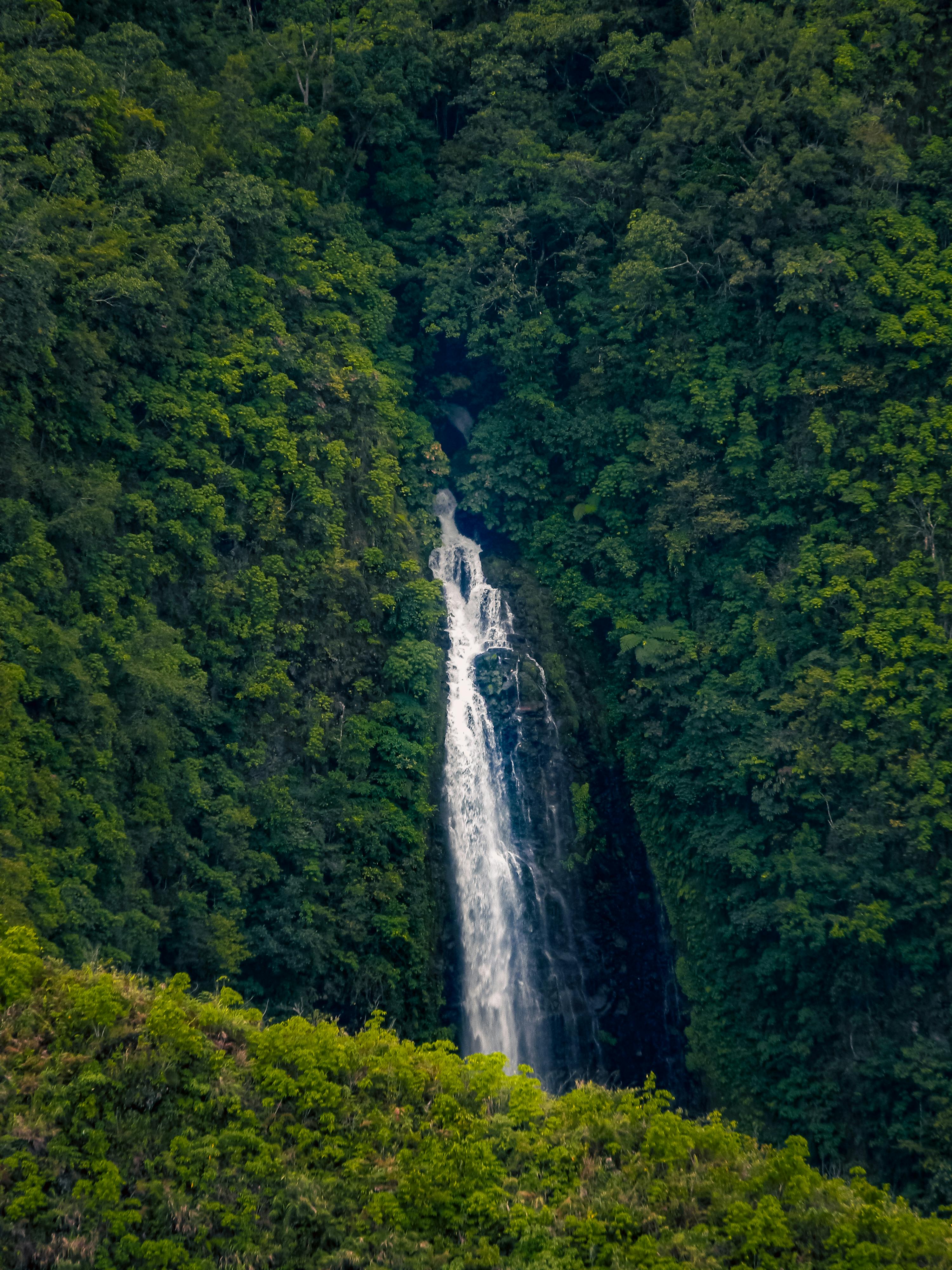 Stunning waterfall cascading down vibrant green forest in idyllic natural setting.