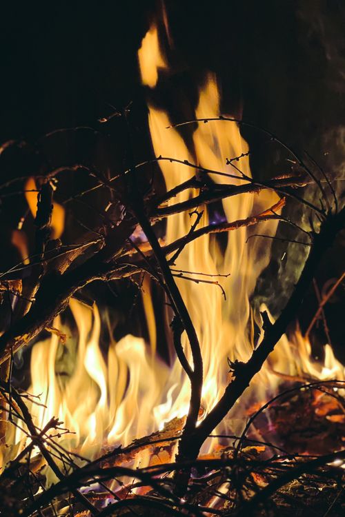 Free Detailed view of a campfire with burning branches in Talgar, Almaty Region, Kazakhstan. Stock Photo