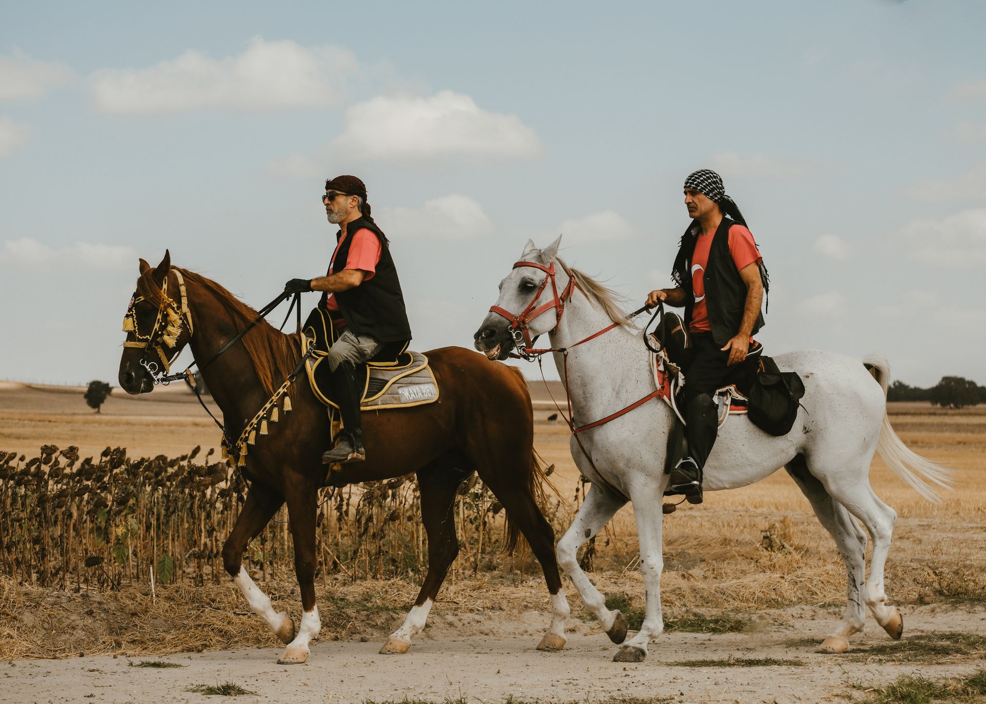 Two men riding horses through the rural landscape of Çorlu, Tekirdağ, Türkiye.