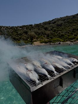 A BBQ grill full of fish is smoking by the seaside on a sunny day.