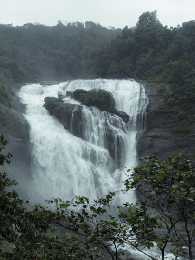 Waterfall Safari Munnar
