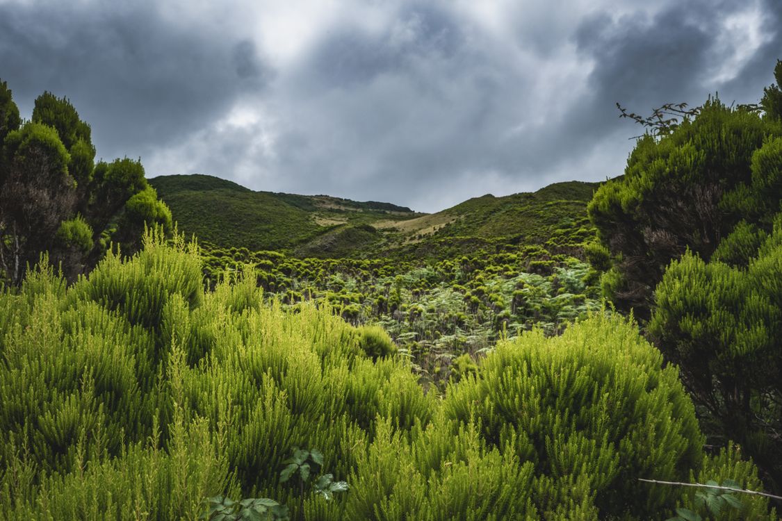 Lush Green Landscape Under Dramatic Skies · Free Stock Photo