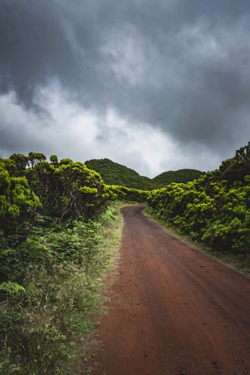 Free Dirt road winding through lush green forest under a moody sky, perfect for nature and travel themes. Stock Photo
