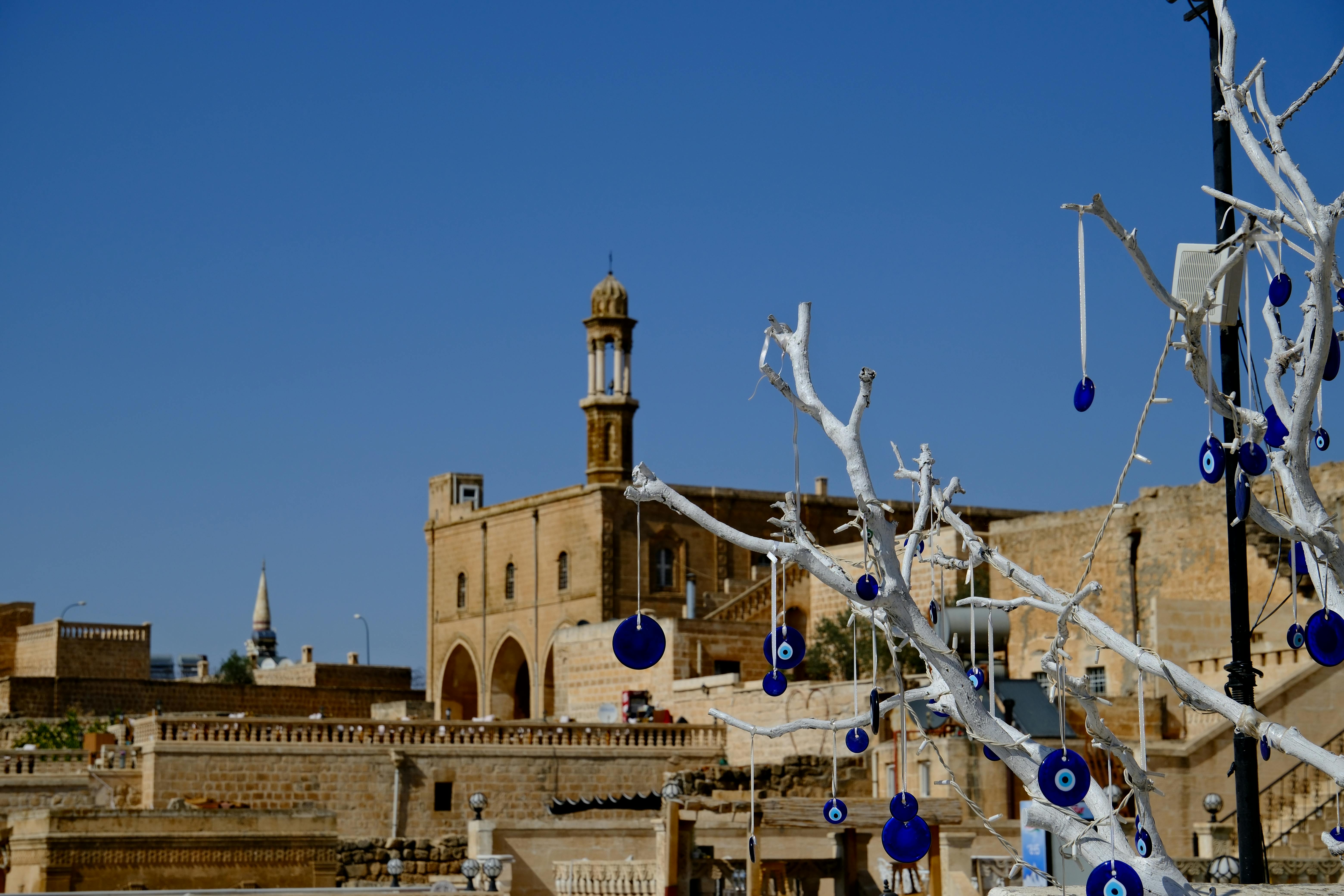 The Digital Evil Eye: Is Social Media Envy the Modern Curse?