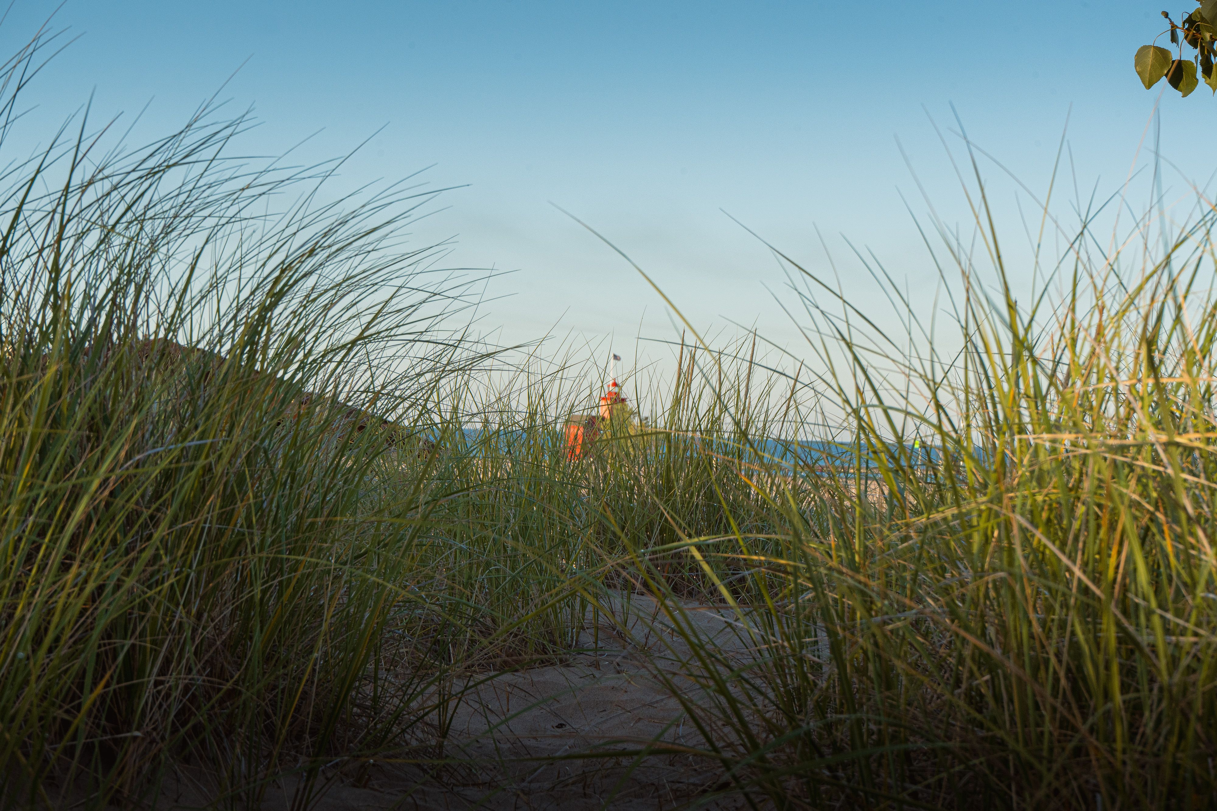 Traverse City