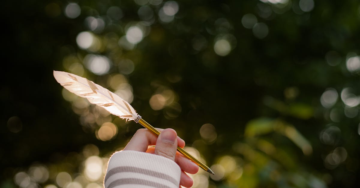 泰勒·斯威夫特躲藏真相曝光:NFL內幕與她的新生活啟示