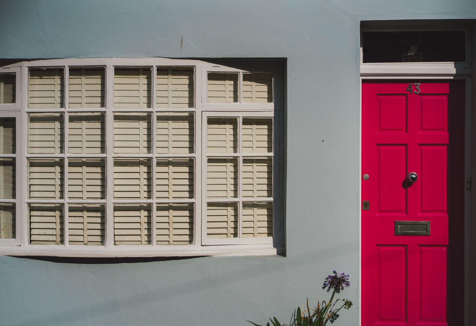 Plastering and Skimming in Feltham — a freshly painted, spotless finish