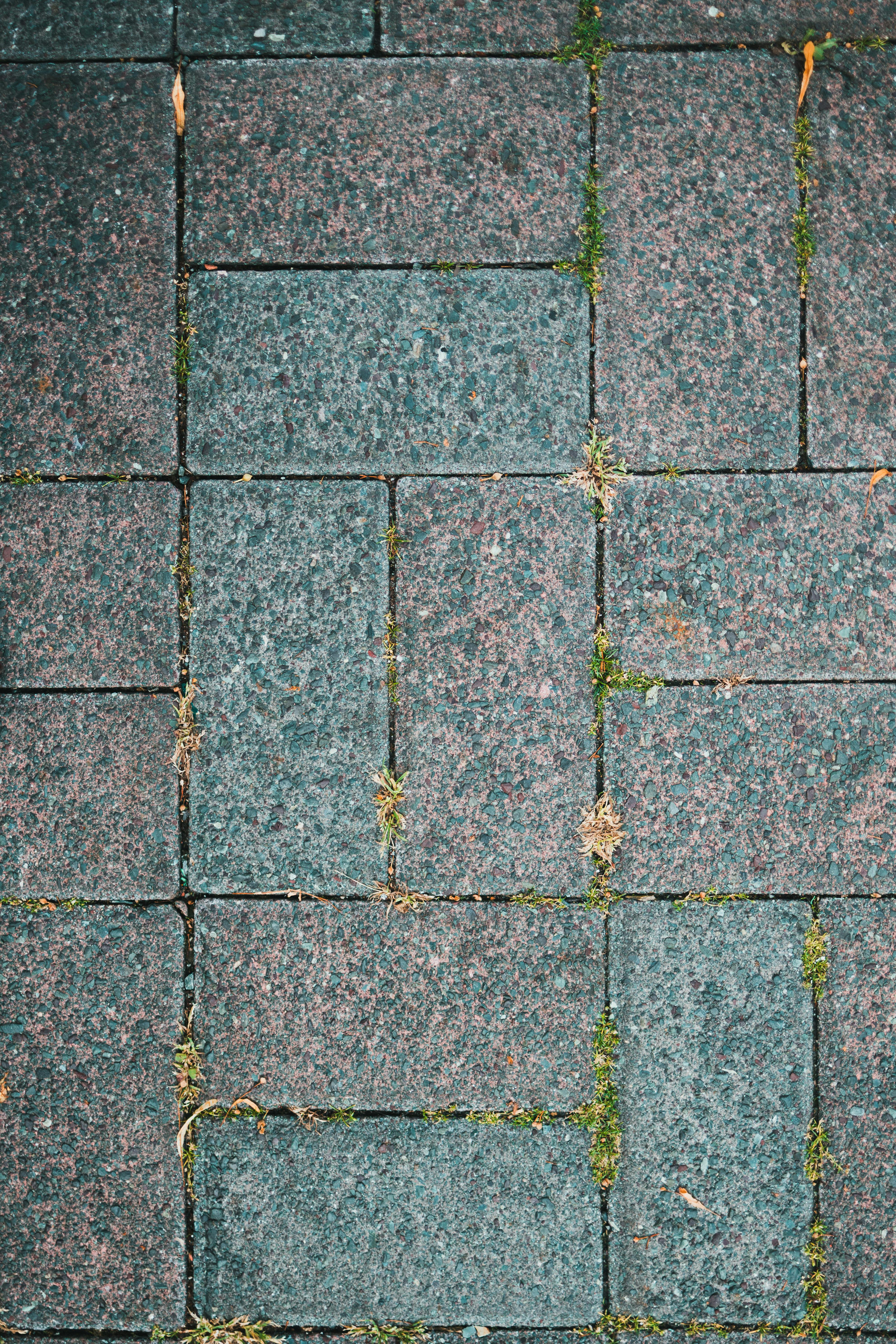 gratis Verticale opname van een getextureerd bakstenen trottoir met mosgroei. Stockfoto