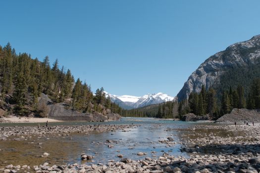 Explore the serene beauty of Banff National Park with its river and snowy mountains in spring.