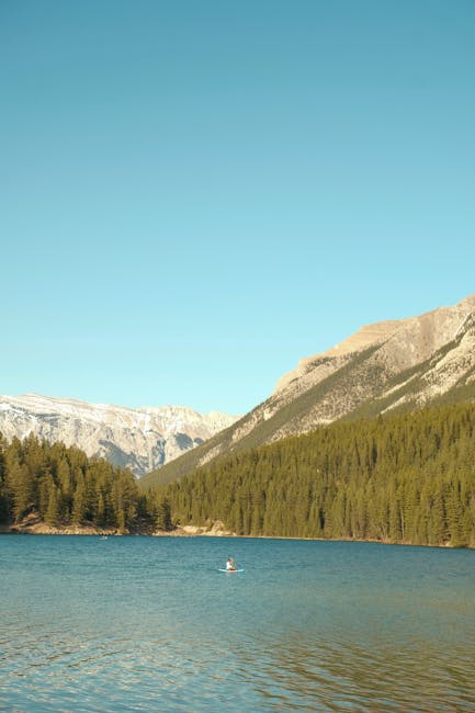 深入山林,體驗自然靜謐:山林民宿推薦全攻略 深入山林,體驗自然靜謐:山林民宿推薦全攻略