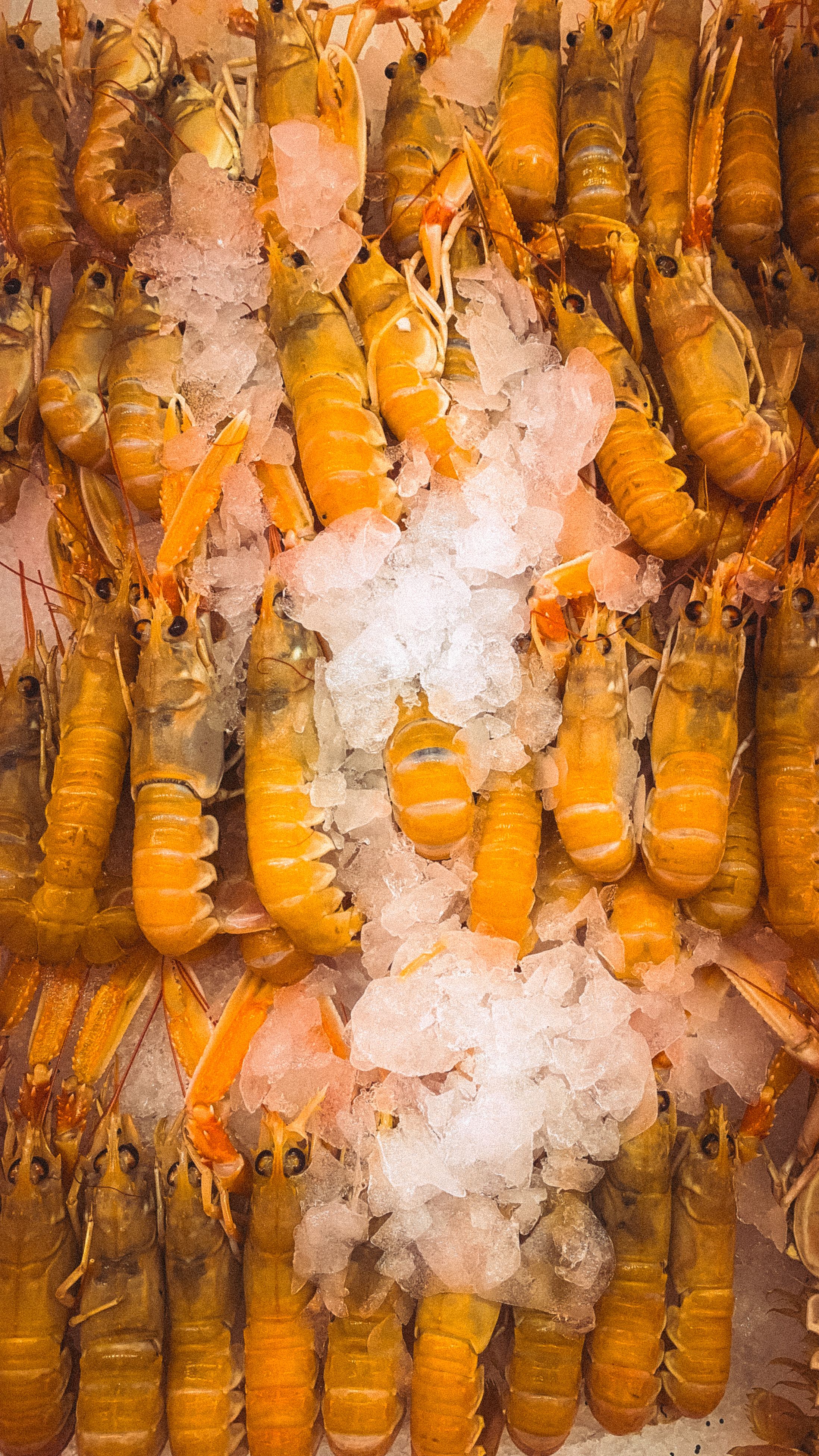 A pile of raw whole langoustines with their long claws and pink-orange shells, arranged on crushed ice at a fish counter.