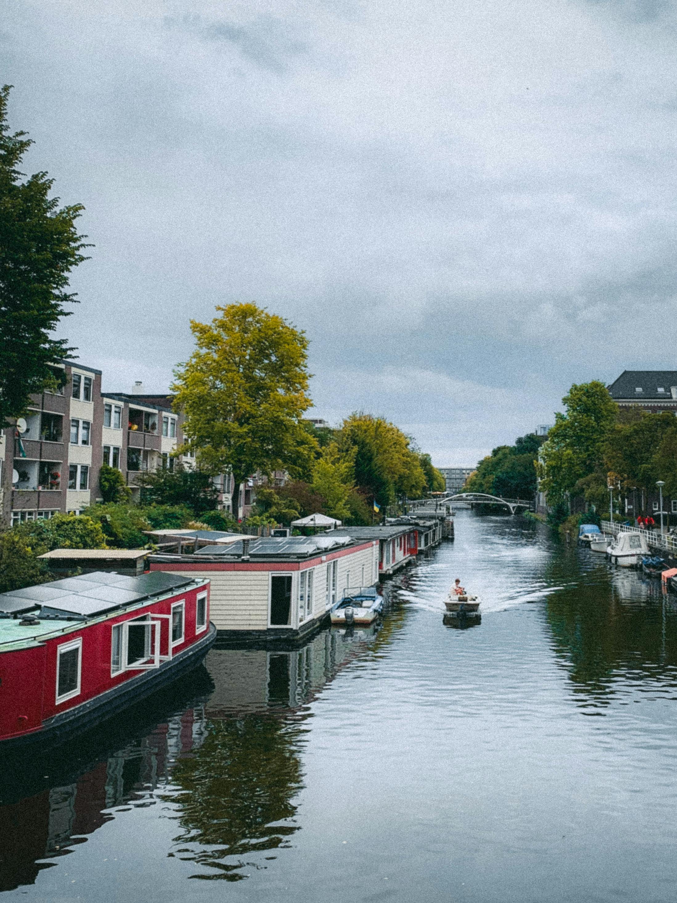 Step by step analysis of layoffs and job market trends