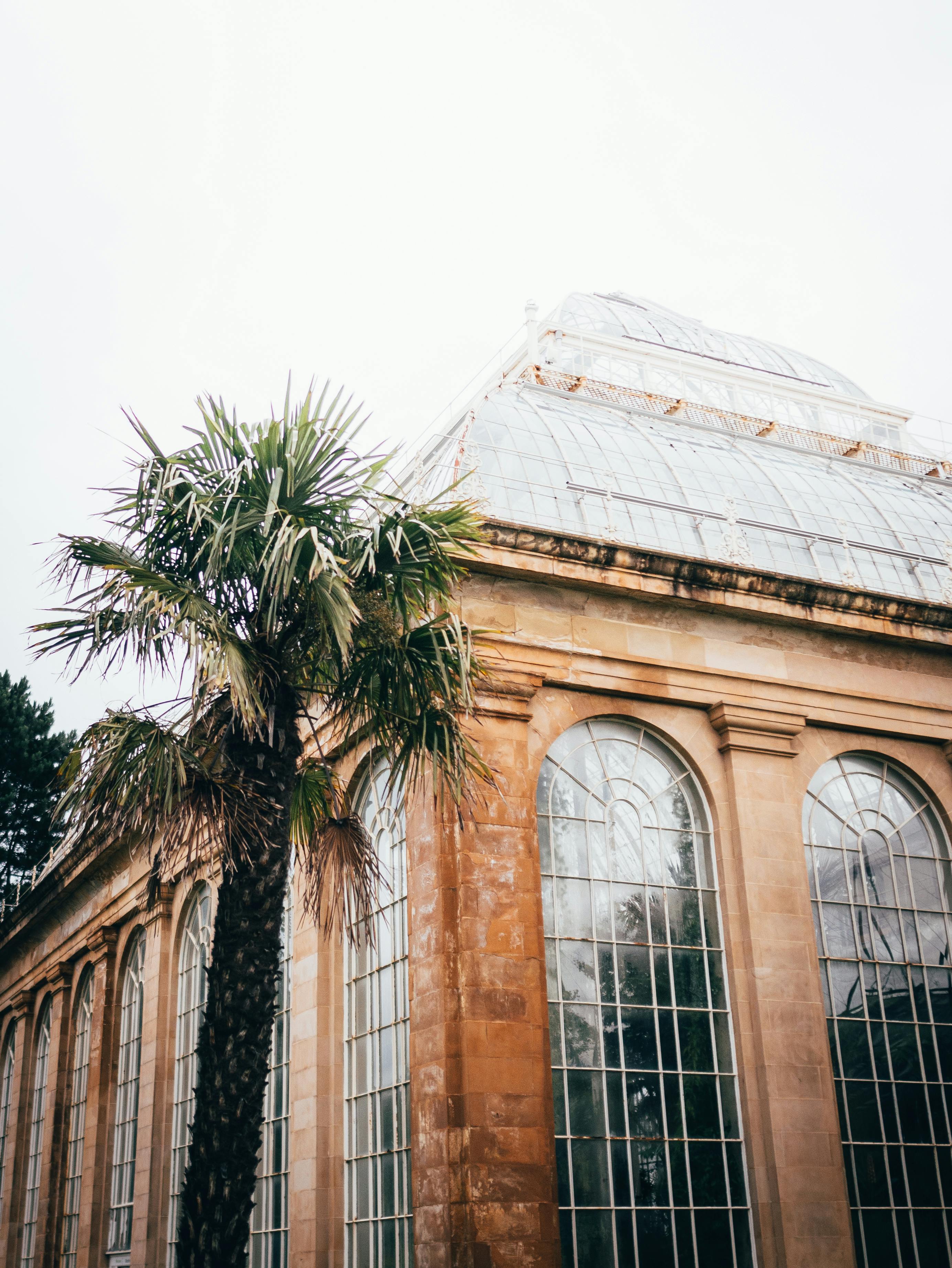 Pink Concrete Building · Free Stock Photo
