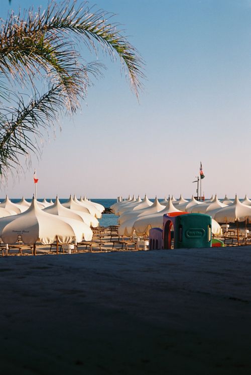 Free A sunny beach scene with white umbrellas, palm trees, and a calm sea. Stock Photo