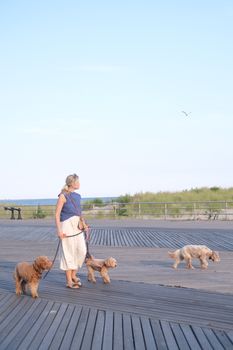 A woman walking three dogs on a scenic beach boardwalk during a bright summer day.