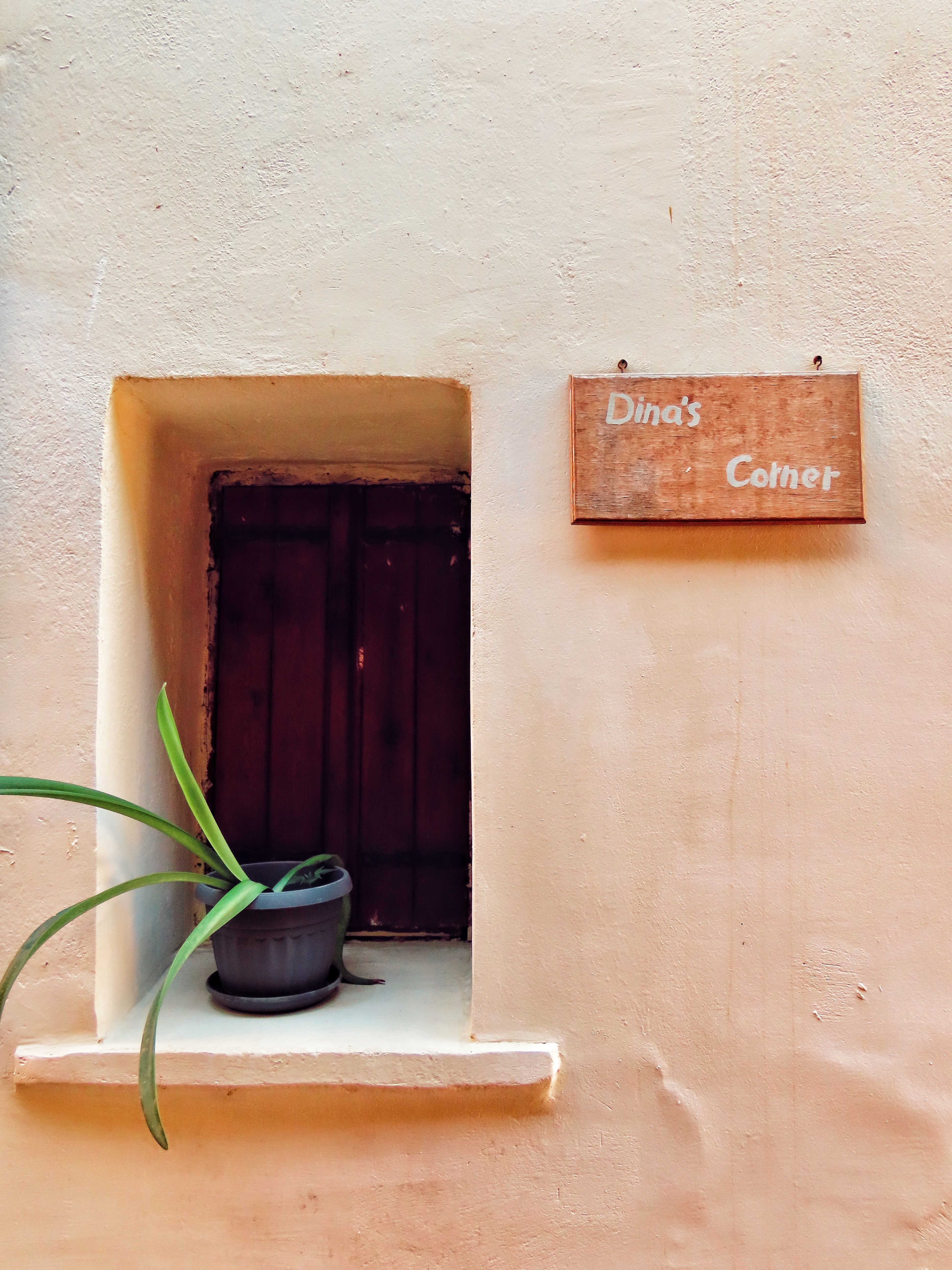 Charming rustic window scene from Greece featuring a potted plant and a quaint wooden sign.