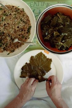 Grape Leaves Stuffed With Rice
