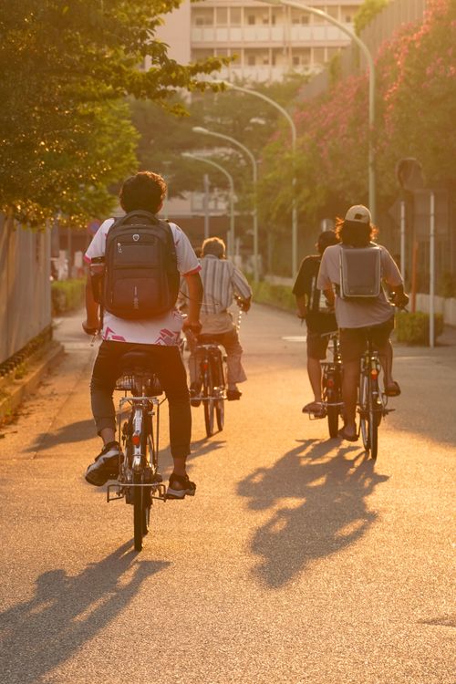Free A group of cyclists ride through Ota City, Tokyo at sunset, casting long shadows and enjoying a warm evening. Stock Photo