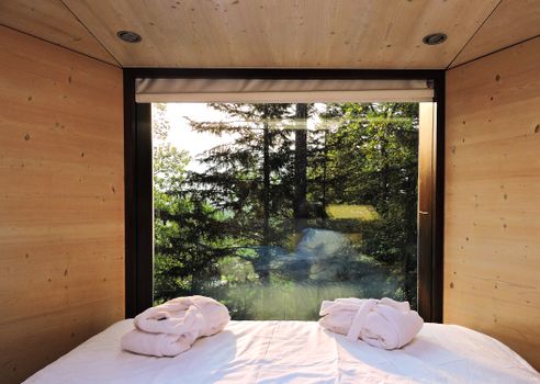 Experience tranquility with a forest view from a cozy cabin bed, perfect for relaxation.