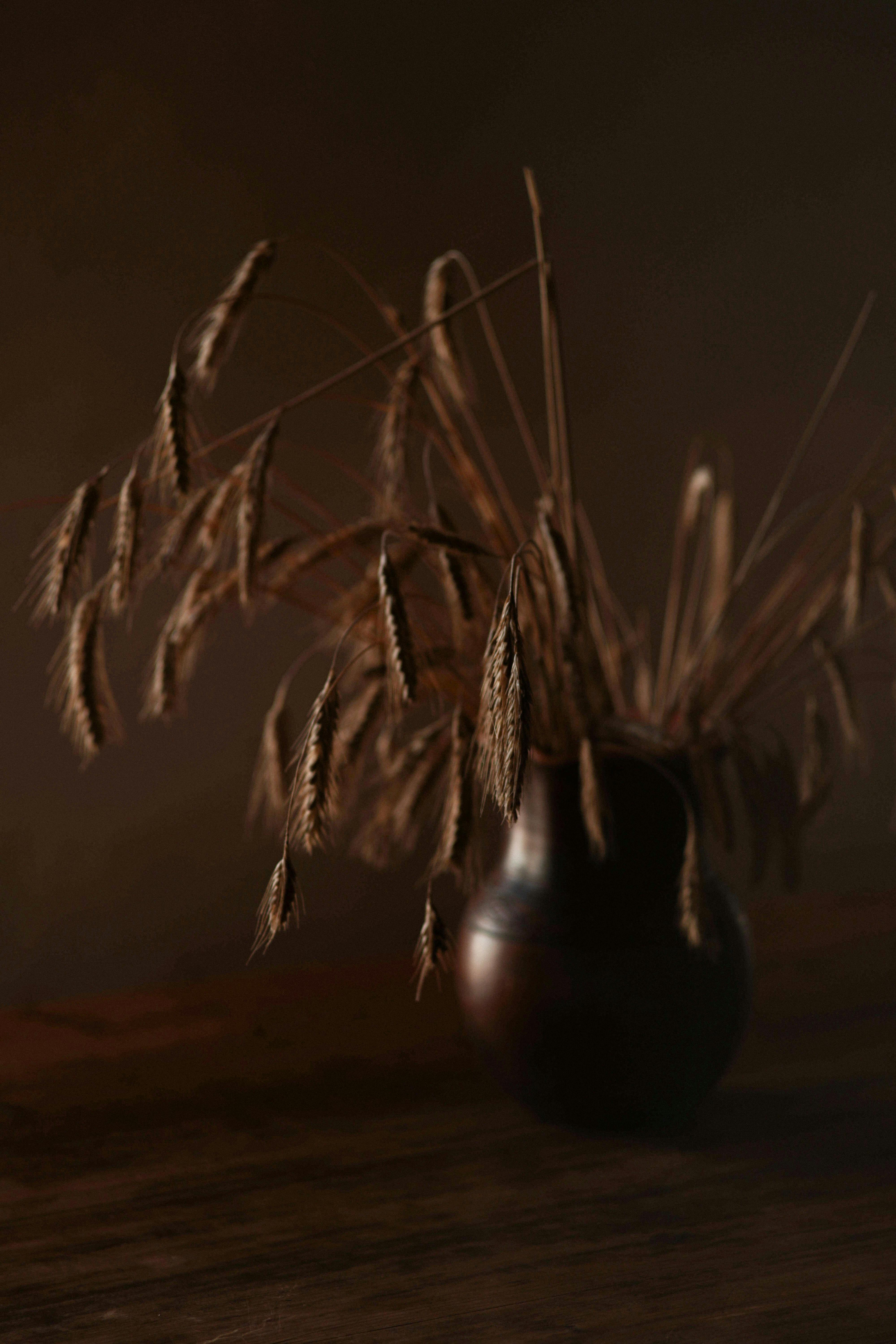 De franc Una escena rústica amb tiges de blat seques disposades en un senzill gerro de ceràmica sobre una superfície de fusta. Foto d'estoc