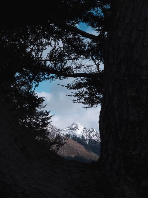 Breathtaking view of snow-capped mountains framed by forest in Patagonia, Argentina.
