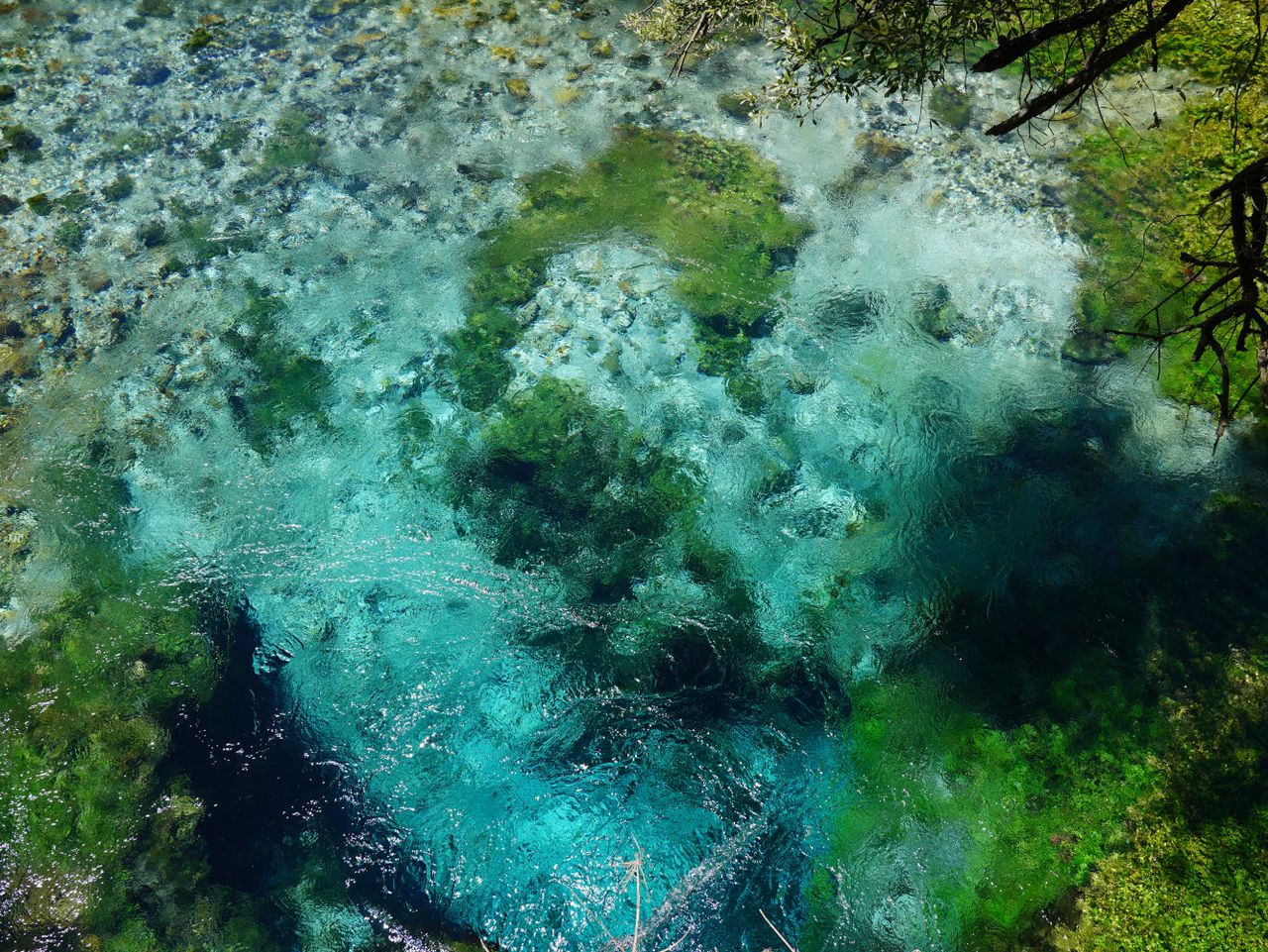 overhead view of a striking blue and green freshwater pool showcasing