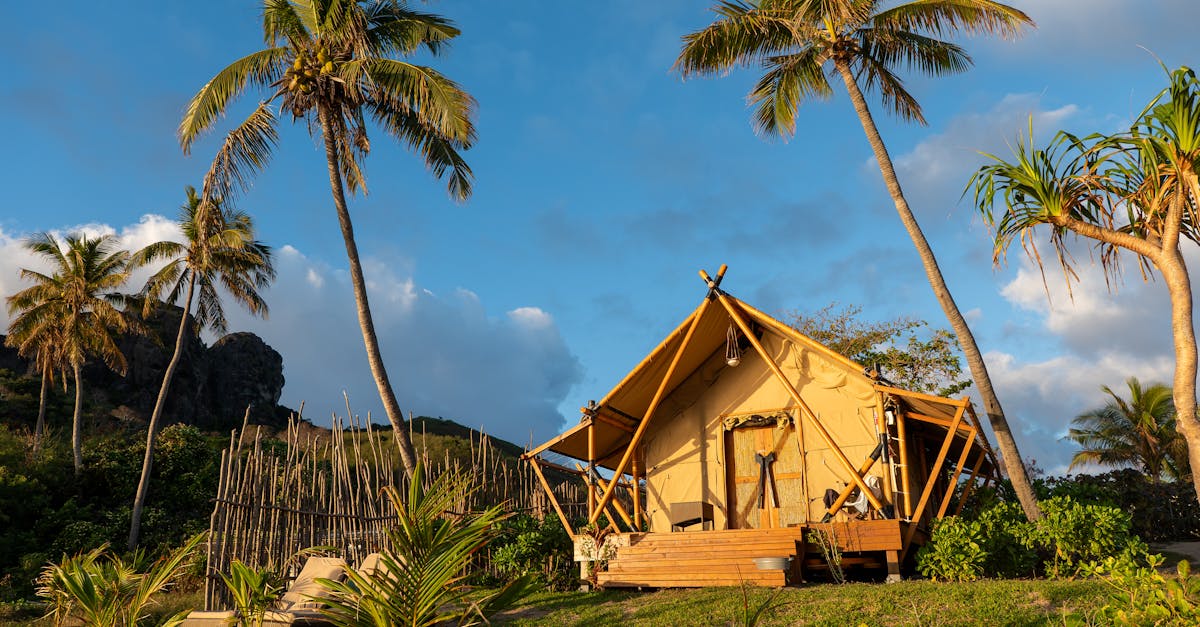 體驗沙灘椰子人生 Coconut Simulator 2 Steam頁面正式公開