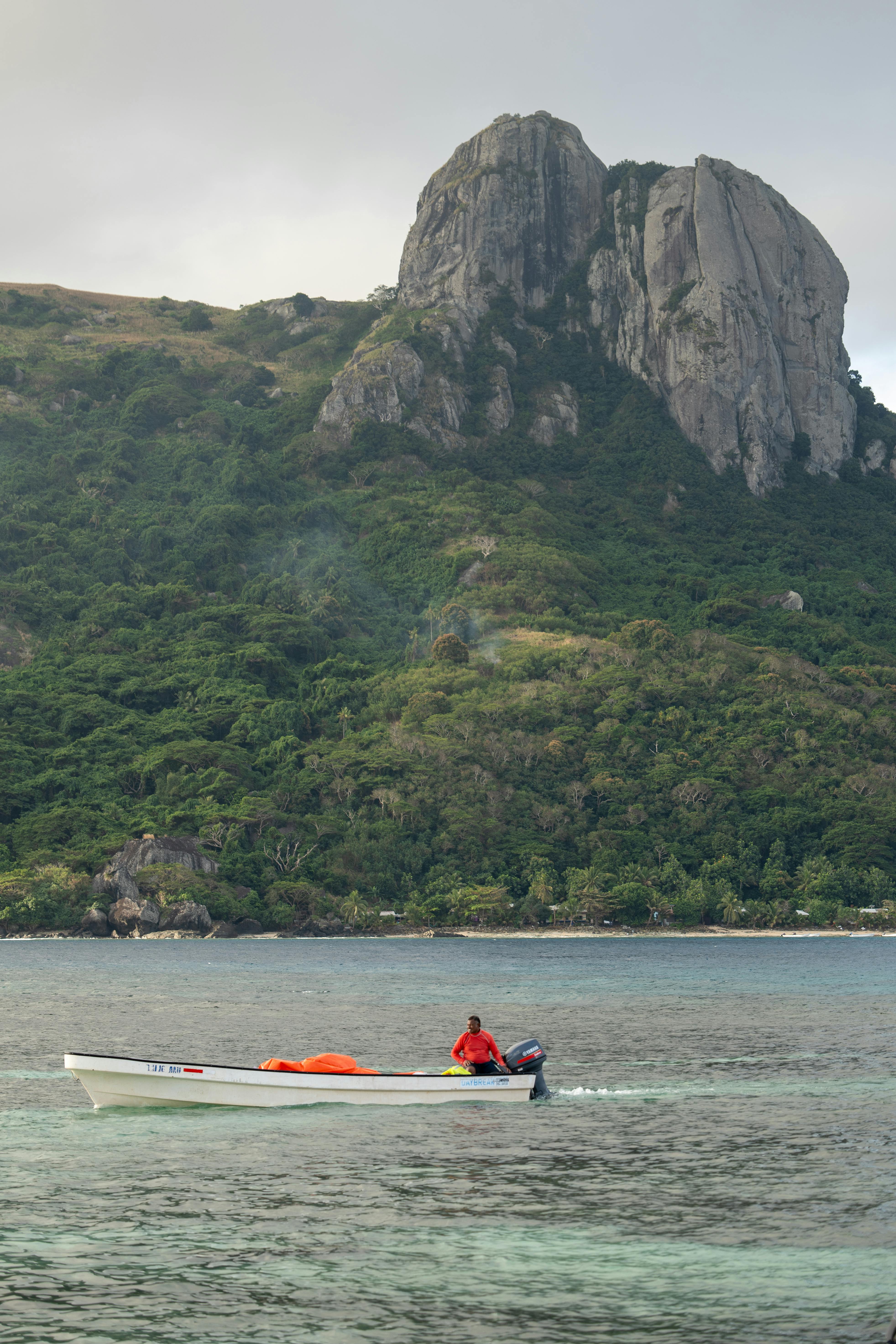 Paradise Escape - Image 1