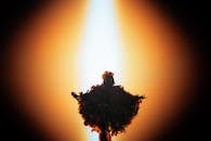 Dramatic Silhouette with Floral Costume on Stage